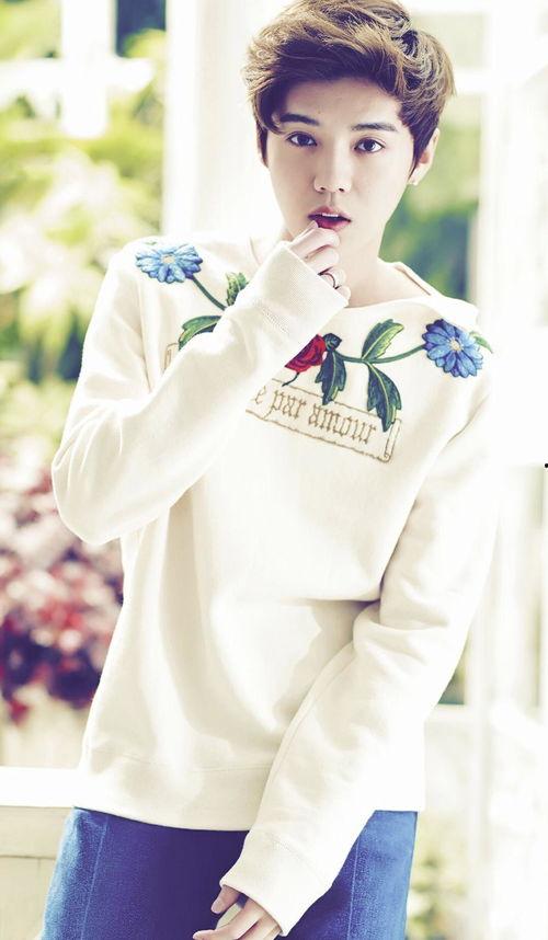 娱乐圈圈爆料鹿晗,揭秘背后故事与精彩瞬间 第2张 娱乐圈圈爆料鹿晗,揭秘背后故事与精彩瞬间 第2张